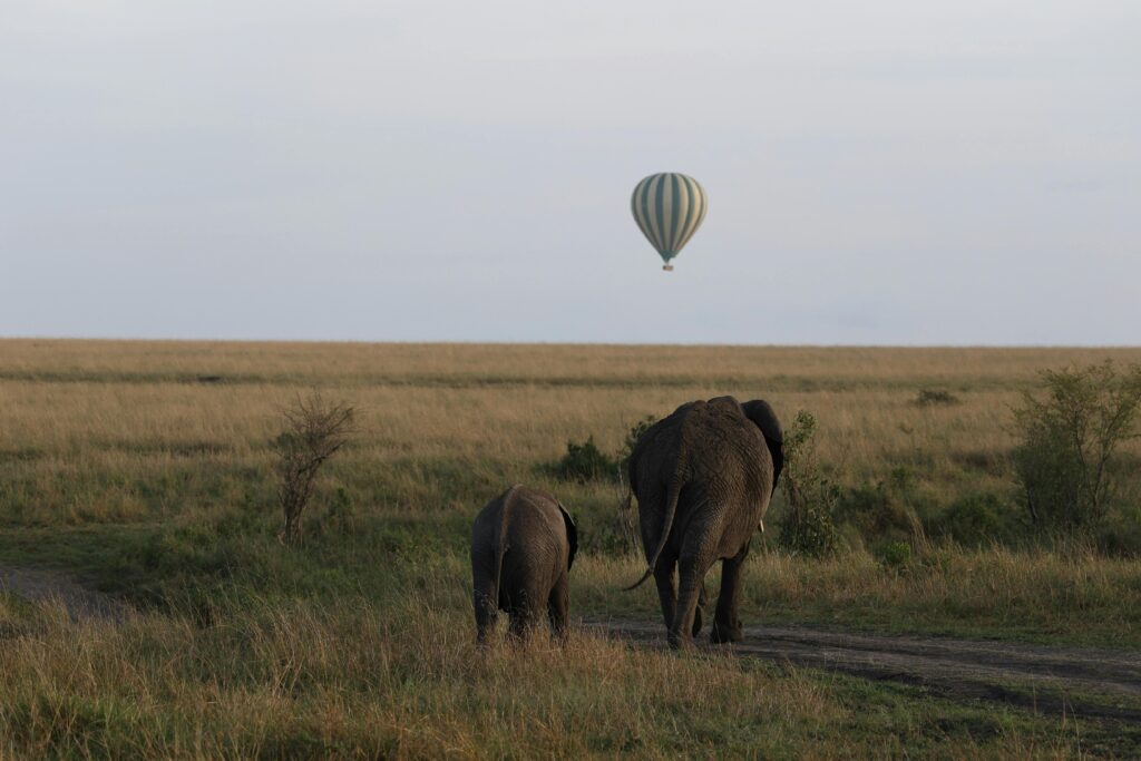 Hot Air Balloon Safari in Tanzania