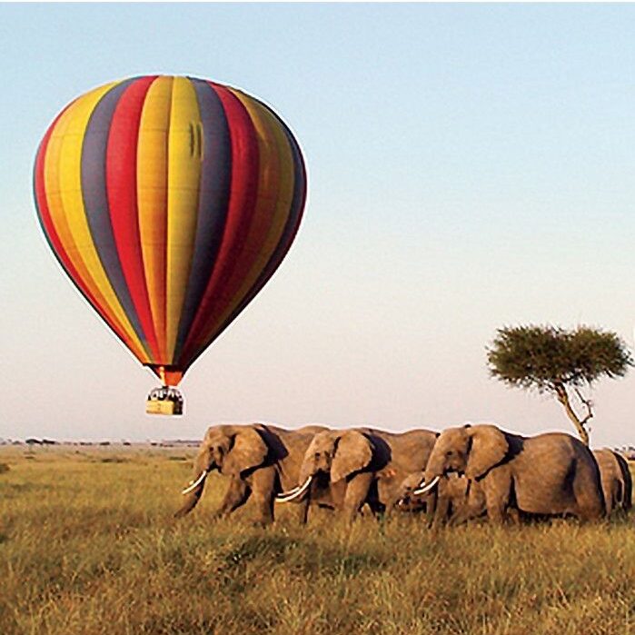 Hot Air Balloon Safaris