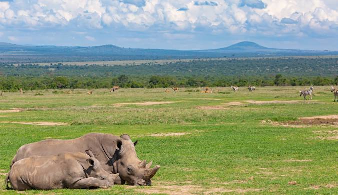 Ol Pejeta conservancy